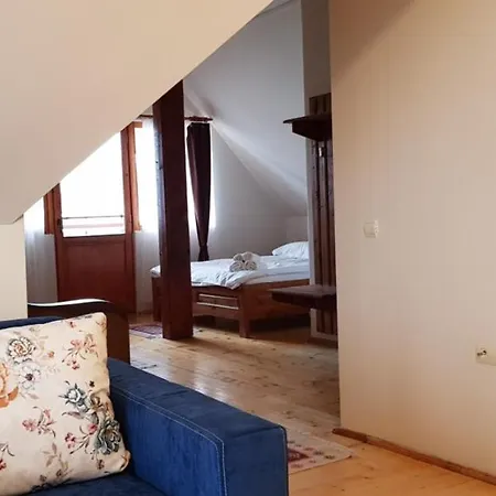 Guest house Pensiunea Printul Vlad