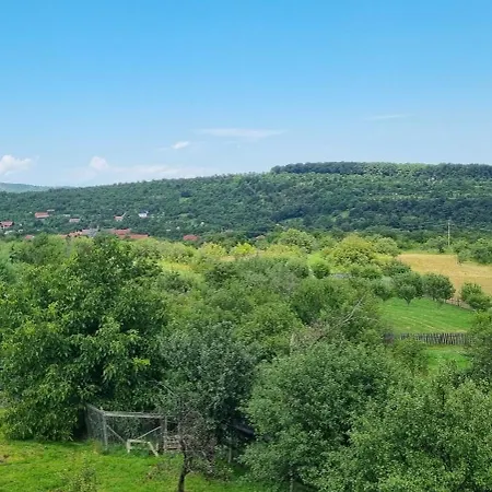 Guest house Pensiunea Printul Vlad 4*