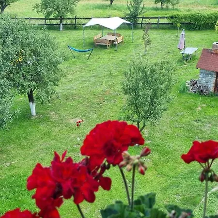Pensiunea Printul Vlad 4*