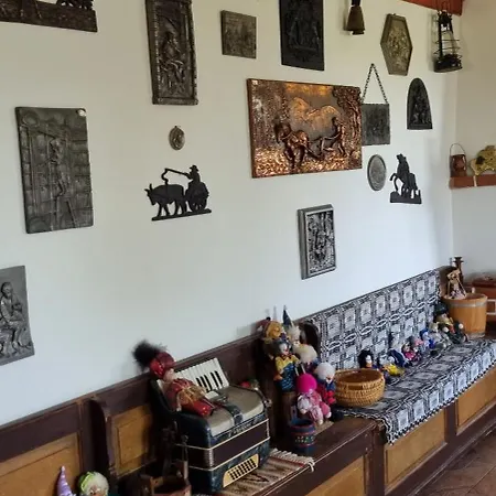 Pensiunea Printul Vlad Guest house Sibiel