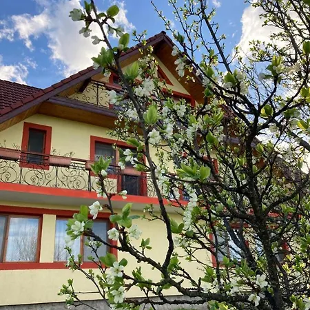 Guest house Pensiunea Printul Vlad 4*
