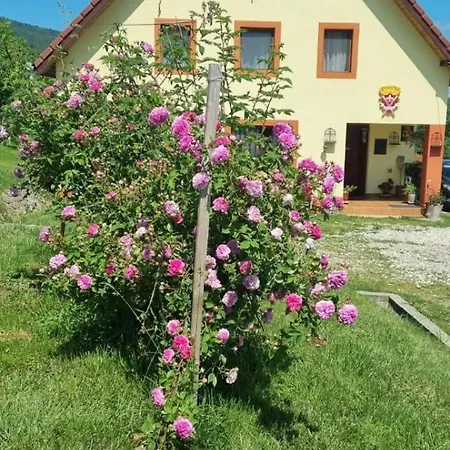 Pensiunea Printul Vlad Guest house 4*