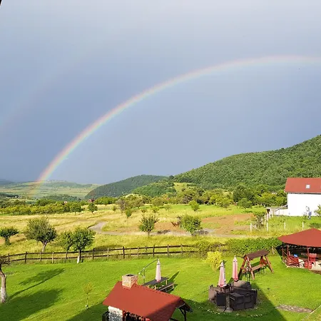 Pensiunea Printul Vlad Guest house Sibiel