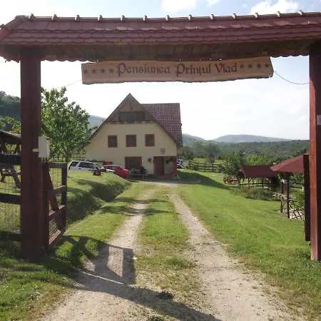 Guest house Pensiunea Printul Vlad