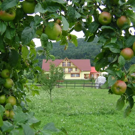 Pensiunea Printul Vlad 4*